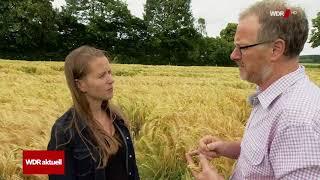 Gerichte bestätigen   Nitratbelastung in Deutschland zu hoch