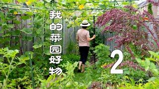 我的菜园好物 2（QUALITY PRODUCTS FROM MY VEGETABLE GARDEN）