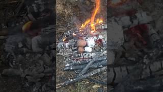 Уголок бобровой мудрости и экспериментов: готовим картошку с фольгой и без.
