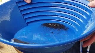 Woody Holds a Panning Lesson for the Members of the Big Bug Mining District Club on 07/18/2020