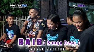 RAIB ( Bunga Desa ) - Kakek Sugiono - JANDHUT PANJAK RUWET OFFICIAL - JORDAN AUDIO PRO