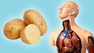 What Happens to Your Body When You Eat Potatoes (Potato Benefits)