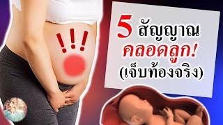 อาการคนท้อง : 5 สัญญาณคลอดลูก! (เจ็บท้องคลอดจริง) | ปวดท้องคลอดจริง | คนท้อง Everything