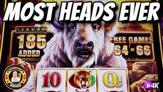 I got 66 Spins on Buffalo Chief & WON BIG!