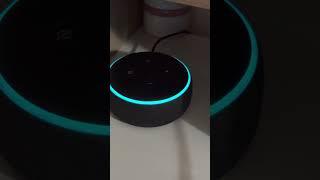 ¿Sabias esto de Alexa? #alexa #brujeriatech