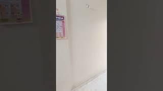 PG room in Delhi Old Rajendra Nagar student option UPSC #pg