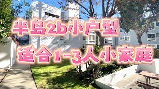 [Eng Sub]中半岛2b小户型 适合1-3人小家庭！For first time buyer! Central Peninsula 2b apt  for small family 小户型首购族