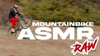 FAST, DRY & RAW | Korbinian Engstler Mountainbike ASMR