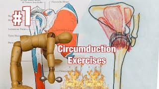 Shoulder Circumduction Exercises