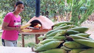 06 Receitas de milho- A fruta dourada do campo-Cleide Lifestyle