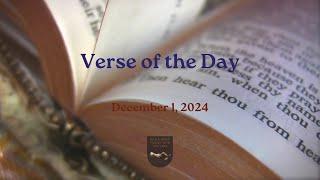 Verse of the Day - December 1, 2024