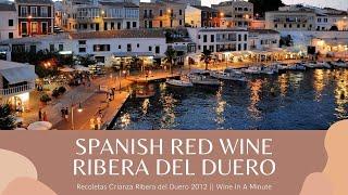 Spanish Red Wine Ribera del Duero