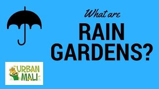 What are Rain Gardens? - UrbanMali.com