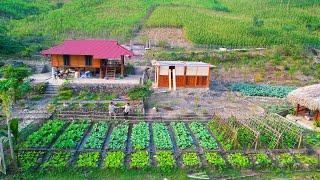 Process of Building a SUSTAINABLE Vegetable Garden! Banana harvesting, aquaculture, flower growing