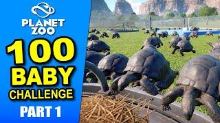 Can we beat 100 BABY CHALLENGE in Planet Zoo!? Ep 1