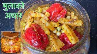 मुला र केराउको अचार बनाउनु होस है मैले जसतै सारै मिठो हुन्छ || FERMENTED RADISH PICKLE NEPALI STYLE