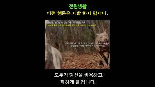 전원생활하면서 절대로 하면 안 되는 행동. 하지 말라고 하면 하지 좀 마
