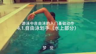 梦觉教游泳 -- ”自由泳入门“ ：自由泳划手（水上部分）