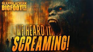 We heard it screaming! Suscon Screamer & Bigfoot Lore in Pennsylvania: The Appalachian Bigfoot Files