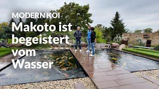 Makoto zu Besuch bei Matze von Koi Zossen | Modern Koi Blog #6919