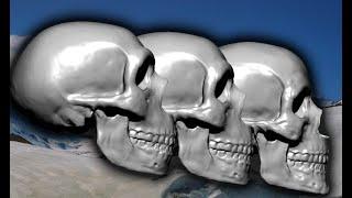 Neanderthal/Human Skull Hybrid Morph