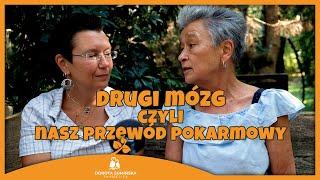 Drugi mózg – czyli nasz przewód pokarmowy