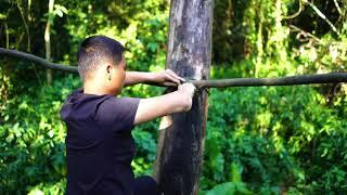 Sinh Tồn Hoang Dã | Xây Nhà Trên Cây, Trải Nghiệm Tuyệt Vời | Build a wood shelter in the wasteland