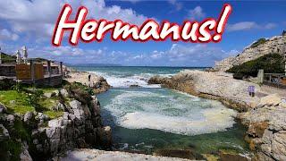 S1 – Ep 384 – Hermanus – Rewarded with the Amazing Sight of Whales!