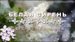 Белая сирень, Евгений Мартынов  хиты 80 х