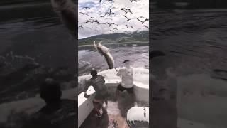 SUNGGUH BERAT! LUAR BIASA TANTANGANNYA MANCING DI PERAHU STRIKE IKAN BESAR #fishing #crazyfishing