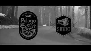 Pelago Sibbo