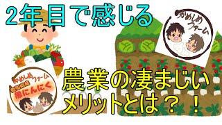 【実感】兼業農家2年目で分かった農業のとてつもない魅力