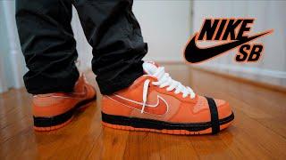 NIKE DUNK LOW SB x CONCEPT ORANGE LOBSTER REVIEW & ON FEET