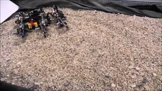 Hexapod robot AMOSII: Learning compliance by using the same gait on fine and coarse gravels