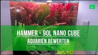 Wunderschönes 90L Nano Cube Aquarium | Aquarien Bewerten | GarnelenTv