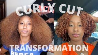 I Got A Curly Cut  | Natural Hair Styles | Mia Ashanti 