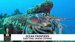 Dive Grand Cayman's East End with Ocean Frontiers