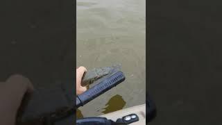 Sokol FISH HUNTER