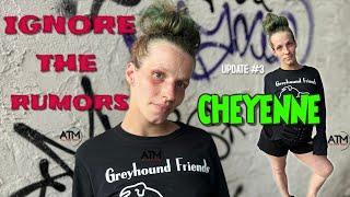 Cheyenne Is Alive! (Update #3)