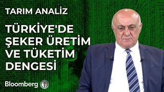 Tarım Analiz - Türkiye'de Şeker Üretim ve Tüketim Dengesi | 26 Haziran 2024