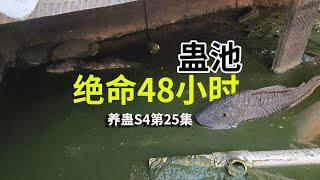 蛊池缺水48小时，还会有生还者吗？养蛊S4第25集