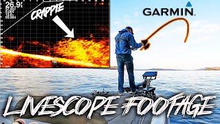 INSANE Crappie Fishing with LIVESCOPE! Watch It All Unfold!(Mega School)