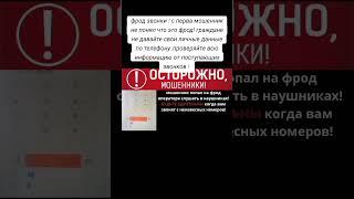 12 октября 2024 г.