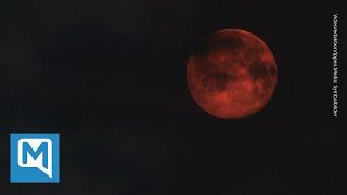 Was ist ein Blutmond und wie entsteht er?