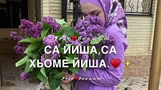 Песня для сестры на день рождения (йишан)