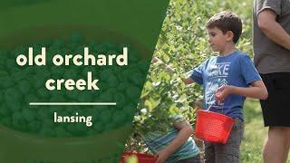 Blueberry Picking and Beautiful Mountain Scenery at Old Orchard Creek | NC Weekend