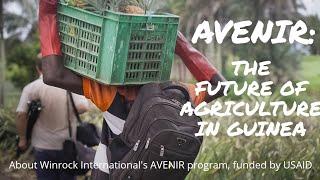 The AVENIR program | Mini-Doc for Winrock International funded by USAID via Feed the Future