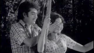 Swopnadanam Njan | Thulavarsham | Evergreen Malayalam Film Songs | Hits of S Janaki