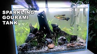 Aquascape Tutorial: Sparkling Gourami Blackwater Aquarium (How To Step By Step Planted Tank Guide)