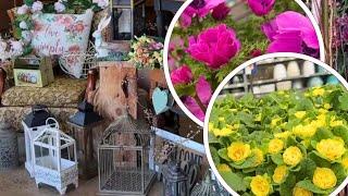 Thrifting for Cottage Garden Decor,Plants and Coffee! 